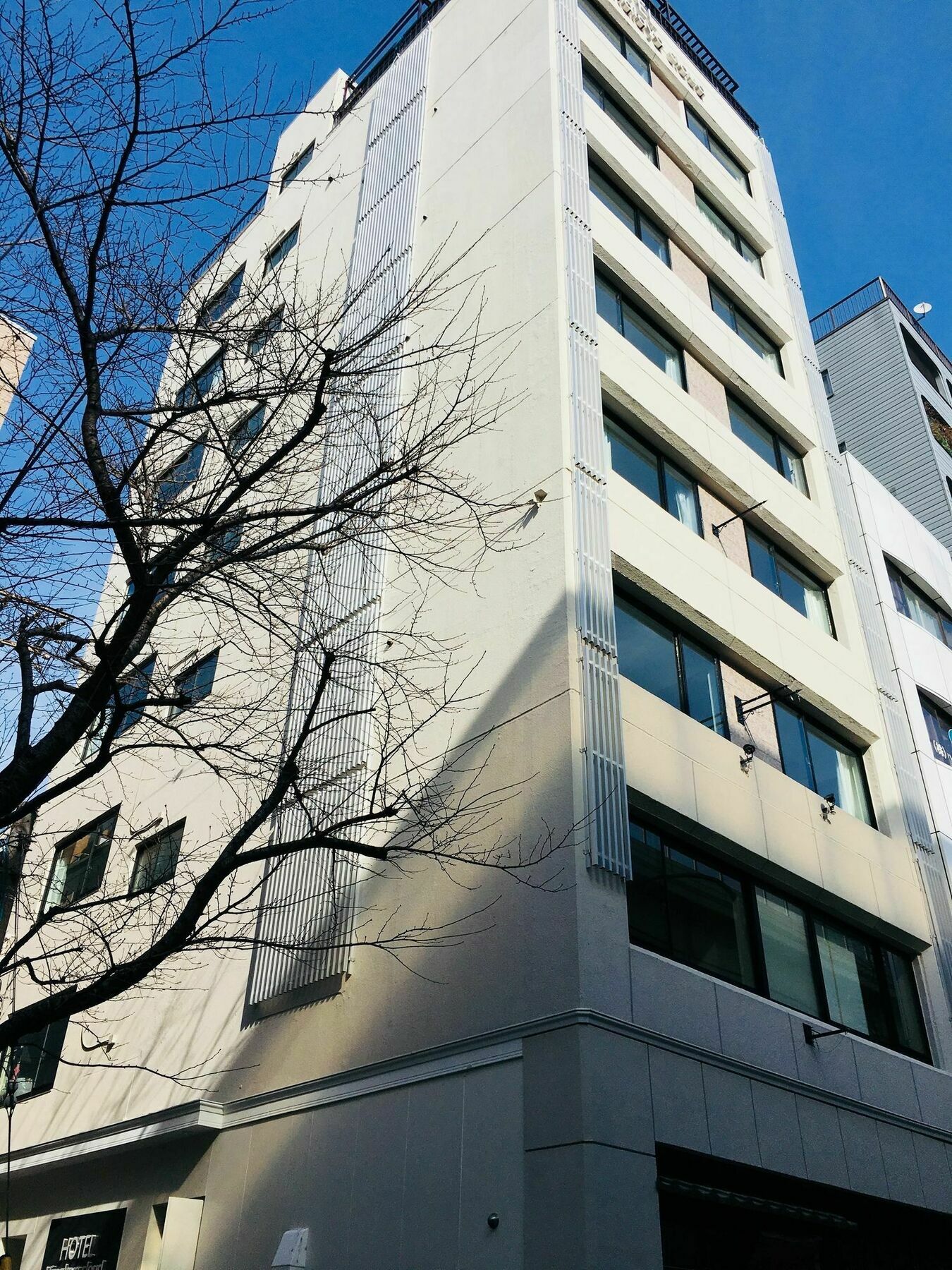 Himalaya Cloud Hotel Tōkyō Extérieur photo